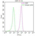 Overlay Peak curve showing Jurkat cells surface stained with CSB-RA004960MA2HU (red line) at 1:100. Then 10% normal goat serum to block non-specific protein-protein interactions followed by the antibody (1ug/1*10 6 cells) for 45min at 4℃. The secondary antibody used was Fluorescein (FITC) AffiniPure Goat Anti-Human IgG, Fcγ fragment specific at 1:200 dilution for 35min at 4℃.Control antibody (green line) was human IgG1 (1ug/1*10 6 cells) used under the same conditions.