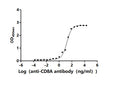 The Binding Activity of Human CD8A with Anti-CD8A Recombinant antibodyActivity: Measured by its binding ability in a functional ELISA. Immobilized Human CD8A (CSB-MP004966HUd7) at 5 μg/mL can bind Anti-CD8A recombinant antibody. The EC<sub>50</sub> is 11.49-20.78 ng/mL.