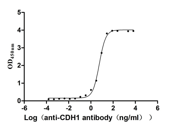 The Binding Activity of Human CDH1 with Anti-CDH1 recombinant antibodyActivity: Measured by its binding ability in a functional ELISA. Immobilized Human CDH1(CSB-MP005034HU1) at 2 μg/mL can bind Anti-CDH1 recombinant antibody.The EC<sub>50</sub> is 5.151-6.358 ng/mL.
