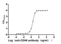 The Binding Activity of Human CDH6 with Anti-CDH6 Recombinant AntibodyActivity: Measured by its binding ability in a functional ELISA. Immobilized Human CDH6 (CSB-MP005055HU1) at 2 μg/mL can bind Anti-CDH6 recombinant antibody. The EC<sub>50</sub> is 2.421-2.802 ng/mL.