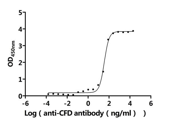 The Binding Activity of Human CFD with Anti-CFD Recombinant AntibodyActivity: Measured by its binding ability in a functional ELISA. Immobilized Human CFD (CSB-MP005271HU) at 2 μg/mL can bind Anti-CFD recombinant antibody. The EC<sub>50</sub> is 31.86-39.21 ng/mL.