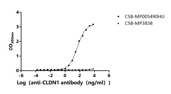 The Binding Activity of Human CLDN1 with Anti-CLDN1 Recombinant antibodyActivity: Measured by its binding ability in a functional ELISA. Immobilized Human CLDN1 (CSB-MP005490HU) at 10 μg/mL can bind Anti-CLDN1 recombinant antibody. The EC<sub>50</sub> is 35.03-50.71 ng/mL.
The VLPs (CSB-MP3838) is negative control.