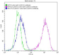 Untransfected KATO3 cells surface (green line) , transfected Human CLDN18.2 KATO3 stable cells surface (red line) and transfected Human CLDN18.1 NIH-3T3 stable cells surface (blue line) were stained with anti-CLDN18.2 antibody (2µg/1*10<sup>6</sup> cells) , washed and then followed by FITC-conjugated anti-Human IgG Fc antibody and analyzed with flow cytometry.