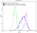Untransfected KATO3 cells surface (green line) , transfected Human CLDN18.2 KATO3 stable cells surface (red line) and transfected Human CLDN18.1 NIH-3T3 stable cells surface (blue line) were stained with anti-CLDN18.2 antibody (2µg/1*10<sup>6</sup> cells) , washed and then followed by FITC-conjugated anti-Human IgG Fc antibody and analyzed with flow cytometry.