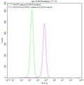 Untransfected NIH-3T3 cells (green line) and transfected Human CLDN18.1 NIH-3T3 stable cells (red line) were stained with anti-CLDN18 antibody (2µg/1*10<sup>6</sup>cells), washed and then followed by FITC-conjugated anti-Human IgG Fc antibody and analyzed with flow cytometry.