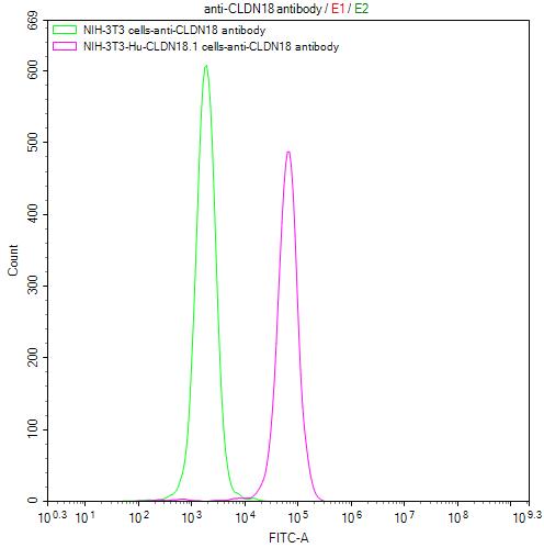 Untransfected NIH-3T3 cells (green line) and transfected Human CLDN18.1 NIH-3T3 stable cells (red line) were stained with anti-CLDN18 antibody (2µg/1*10<sup>6</sup>cells), washed and then followed by FITC-conjugated anti-Human IgG Fc antibody and analyzed with flow cytometry.