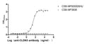 The Binding Activity of CLDN3 with Anti-CLDN3 recombinant antibodyActivity: Measured by its binding ability in a functional ELISA. Immobilized Human CLDN3 (CSB-MP005505HU) at 10 μg/mL can bind Anti-CLDN3 recombinant antibody, the EC<sub>50</sub> is 23.62-34.37 ng/mL.VLPs (CSB-MP3838) is negative control.