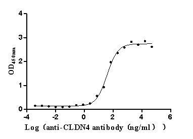 The Binding Activity of Human CLDN4 with Anti-CLDN4 Recombinant AntibodyActivity: Measured by its binding ability in a functional ELISA. Immobilized Human CLDN4(CSB-MP005506HU) at 5 μg/mL can bind Anti-CLDN4 recombinant antibody, the EC<sub>50</sub> is 29.56-50.75 ng/mL.