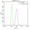 Overlay Peak curve showing MCF7 cells surface stained with CSB-RA005506MA2HU (red line) at 1:100. Then 10% normal goat serum was Incubated to block non-specific protein-protein interactions followed by the antibody (1µg/1*10 6 cells) for 45 min at 4°C. The secondary antibody used was FITC-conjugated Goat Anti-Mouse IgG(H+L) at 1/200 dilution for 35 min at 4°C. Isotype control antibody (green line) was mouse IgG1 (1µg/1*10 6 cells) used under the same conditions. Acquisition of >10,000 events was performed.