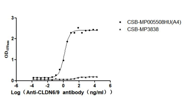 The Binding Activity of Human CLDN6 with Anti-CLDN6-9 recombinant antibodyActivity: Measured by its binding ability in a functional ELISA. Immobilized Human CLDN6 (CSB-MP005508HU(A4) ) at 10 μg/mL can bind Anti-CLDN6-9 recombinant antibody. The EC<sub>50</sub> is 1.189-1.618 ng/mL. The VLPs (CSB-MP3838) is negative control.