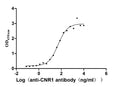 The Binding Activity of Huamn CNR1 with Anti-CNR1 recombinant AntibodyActivity: Measured by its binding ability in a functional ELISA. Immobilized Human CNR1(CSB-MP005678HU) at 10 μg/mL can bind Anti-CNR1 recombinant antibody, the EC<sub>50</sub> is 41.72-63.54 ng/mL.