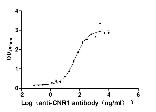 The Binding Activity of Huamn CNR1 with Anti-CNR1 recombinant AntibodyActivity: Measured by its binding ability in a functional ELISA. Immobilized Human CNR1(CSB-MP005678HU) at 10 μg/mL can bind Anti-CNR1 recombinant antibody, the EC<sub>50</sub> is 41.72-63.54 ng/mL.