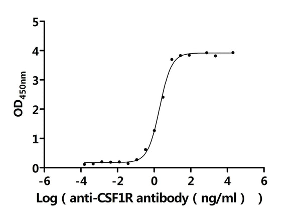 The Binding Activity of Human CSF1R with Anti-CSF1R recombinant antibodyActivity: Measured by its binding ability in a functional ELISA. Immobilized Human CSF1R (CSB-MP006044HUd7) at 2 μg/mL can bind Anti-CSF1R recombinant antibody. The EC<sub>50</sub> is 1.800-2.218 ng/mL.