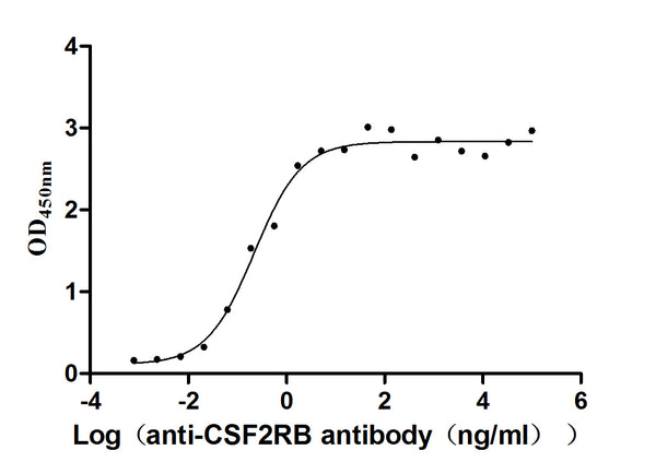 The Binding Activity of CSF2RB with anti-CSF2RB antibody
Activity: Measured by its binding ability in a functional ELISA. Immobilized Human CSF2RB(CSB-MP006047HU) at 2 μg/mL can bind Anti-CSF2RB recombinant antibody, the EC<sub>50</sub> is 0.1594-0.3046 ng/mL.