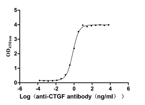 The Binding Activity of Rhesus macaque CTGF with Anti-CTGF Recombinant AntibodyActivity: Measured by its binding ability in a functional ELISA. Immobilized Rhesus macaque CTGF (CSB-MP5112MOW) at 1 μg/mL can bind Anti-CTGF recombinant antibody. The EC<sub>50</sub> is 0.6886-0.7825 ng/mL.