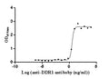 The Binding Activity of Human DDR1 with Anti-DDR1 Recombinant AntibodyActivity: Measured by its binding ability in a functional ELISA. Immobilized Human DDR1(CSB-MP006595HU) at 2 μg/mL can bind Anti-DDR1 recombinant antibody, the EC<sub>50</sub> is 2.824-3.810 ng/mL.
