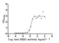 The Binding Activity of Human DKK1 with Anti-DKK1 Recombinant AntibodyActivity: Measured by its binding ability in a functional ELISA. Immobilized Human DKK1 (CSB-MP006920HU(A4) ) at 2 μg/mL can bind Anti-DKK1 recombinant antibody, the EC<sub>50</sub> is 1.283-2.544 ng/mL.