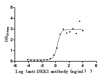 The Binding Activity of Human DKK1 with Anti-DKK1 Recombinant AntibodyActivity: Measured by its binding ability in a functional ELISA. Immobilized Human DKK1 (CSB-MP006920HU(A4) ) at 2 μg/mL can bind Anti-DKK1 recombinant antibody, the EC<sub>50</sub> is 1.283-2.544 ng/mL.