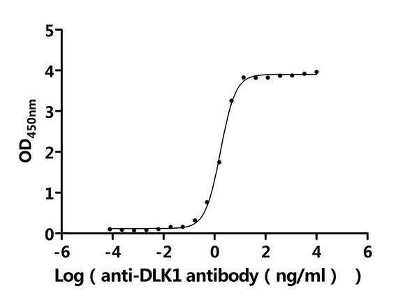 The Binding Activity of Human DLK1 with Anti-DLK1 recombinant antibodyActivity: Measured by its binding ability in a functional ELISA. Immobilized Human DLK1 protein (CSB-MP006945HUd7) at 2 μg/mL can bind Anti-DLK1 recombinant antibody. The EC<sub>50</sub> is 1.598-1.804 ng/mL.