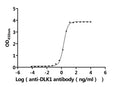 The Binding Activity of Human DLK1 with Anti-DLK1 recombinant antibodyActivity: Measured by its binding ability in a functional ELISA. Immobilized Human DLK1 protein (CSB-MP006945HUd7) at 2 μg/mL can bind Anti-DLK1 recombinant antibody. The EC<sub>50</sub> is 1.935-2.143 ng/mL.