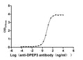 The Binding Activity of Human DPEP3 with Anti-DPEP3 recombinant antibodyActivity: Measured by its binding ability in a functional ELISA. Immobilized Human DPEP3 (CSB-MP007125HU) at 2 μg/mL can bind Anti-DPEP3 recombinant antibody. The EC<sub>50</sub> is 6.841-7.498 ng/mL.