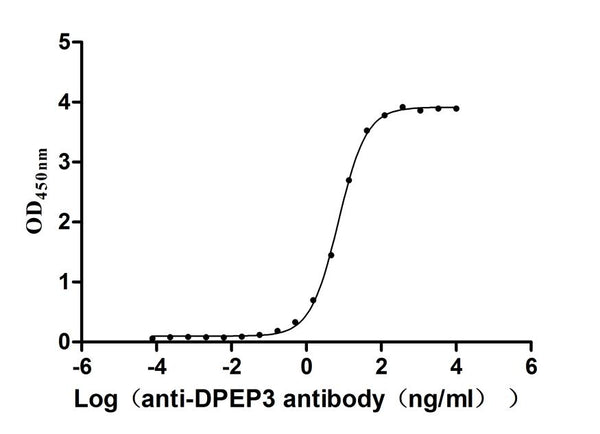 The Binding Activity of Human DPEP3 with Anti-DPEP3 recombinant antibodyActivity: Measured by its binding ability in a functional ELISA. Immobilized Human DPEP3 (CSB-MP007125HU) at 2 μg/mL can bind Anti-DPEP3 recombinant antibody. The EC<sub>50</sub> is 6.841-7.498 ng/mL.