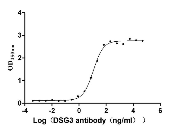 The Binding Activity of Human DSG3 with Anti-DSG3 recombinant antibody
Activity: Measured by its binding ability in a functional ELISA. Immobilized human DSG3 (CSB-MP007205HUc7) at 2 μg/mL can bind Anti-DSG3 recombinant antibody, the EC<sub>50</sub> is 10.16-12.87 ng/mL.