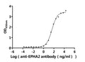 The Binding Activity of Human EPHA2 with Anti-EPHA2 Recombinant AntibodyActivity: Measured by its binding ability in a functional ELISA. Immobilized Human EPHA2 (CSB-MP007722HUd7) at 2 μg/mL can bind Anti-EPHA2 recombinant antibody. The EC<sub>50</sub> is 36.24-50.53 ng/mL.