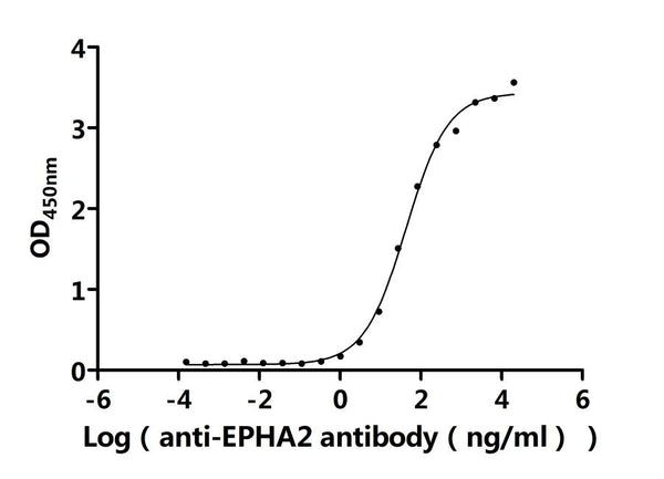 The Binding Activity of Human EPHA2 with Anti-EPHA2 Recombinant AntibodyActivity: Measured by its binding ability in a functional ELISA. Immobilized Human EPHA2 (CSB-MP007722HUd7) at 2 μg/mL can bind Anti-EPHA2 recombinant antibody. The EC<sub>50</sub> is 36.24-50.53 ng/mL.