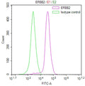 Overlay Peak curve showing MCF-7 cells stained with CSB-RA007763MA3HU (red line) at 1:100. The cells were fixed in 4% formaldehyde and permeated by 0.2% TritonX-100 for 10min. Then 10% normal goat serum to block non-specific protein-protein interactions followed by the antibody (1ug/1*10 6 cells) for 45min at 4℃.