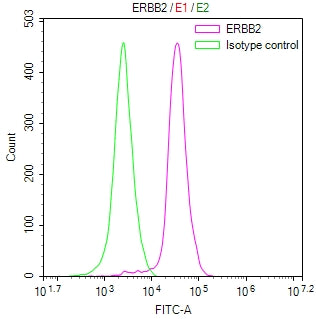 Overlay Peak curve showing MCF-7 cells stained with CSB-RA007763MA3HU (red line) at 1:100. The cells were fixed in 4% formaldehyde and permeated by 0.2% TritonX-100 for 10min. Then 10% normal goat serum to block non-specific protein-protein interactions followed by the antibody (1ug/1*10 6 cells) for 45min at 4℃.
