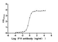 The Binding Activity of Macaca mulatta F11 with Anti-F11 Recombinant AntibodyActivity: Measured by its binding ability in a functional ELISA. Immobilized Macaca mulatta F11 (CSB-MP5433MOW) at 2 μg/mL can bind Anti-F11 recombinant antibody. The EC<sub>50</sub> is 0.5654-0.6444 ng/mL.