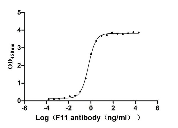 The Binding Activity of Macaca mulatta F11 with Anti-F11 Recombinant AntibodyActivity: Measured by its binding ability in a functional ELISA. Immobilized Macaca mulatta F11 (CSB-MP5433MOW) at 2 μg/mL can bind Anti-F11 recombinant antibody. The EC<sub>50</sub> is 0.5654-0.6444 ng/mL.