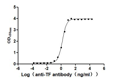 The Binding Activity of Human TF with Anti-TF Recombinant AntibodyActivity: Measured by its binding ability in a functional ELISA. Immobilized Human TF (CSB-MP007928HU2) at 2 μg/mL can bind Anti-TF recombinant antibody. The EC<sub>50</sub> is 1.434-1.635 ng/mL.
