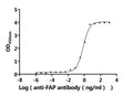 The Binding Activity of Cynomolgus FAP with Anti-FAP Recombinant AntibodyActivity: Measured by its binding ability in a functional ELISA. Immobilized Cynomolgus FAP (CSB-MP6769MOV) at 2 μg/mL can bind Anti-FAP recombinant antibody. The EC<sub>50</sub> is 0.6459-0.8172ng/mL.