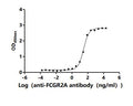 The Binding Activity of Human FCGR2A with Anti-FCGR2A Recombinant antibodyActivity: Measured by its binding ability in a functional ELISA. Immobilized Human FCGR2A (CSB-MP008540HU1) at 2 μg/mL can bind Anti-FCGR2A recombinant antibody. The EC<sub>50</sub> is 24.44-32.57 ng/mL.