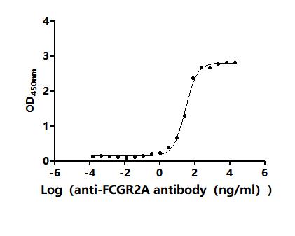 The Binding Activity of Human FCGR2A with Anti-FCGR2A Recombinant antibodyActivity: Measured by its binding ability in a functional ELISA. Immobilized Human FCGR2A (CSB-MP008540HU1) at 2 μg/mL can bind Anti-FCGR2A recombinant antibody. The EC<sub>50</sub> is 24.44-32.57 ng/mL.