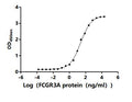 The Binding Activity of Cynomolgus FCGR3A with Anti-FCGR3A Recombinant antibodyActivity: Measured by its binding ability in a functional ELISA. Immobilized Anti-FCGR3A antibody at 2 μg/ml can bind Biotinylated Cynomolgus FCGR3A (CSB-MP854680MOV-B). The EC<sub>50</sub> is 14.09-25.58 ng/ml.