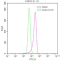 Overlay Peak curve showing MCF7 cells stained with CSB-RA008646MA1HU (red line) at 1:100. The cells were fixed in 4% formaldehyde and permeated by 0.2% TritonX-100. Then 10% normal goat serum to block non-specific protein-protein interactions followed by the antibody (1ug/1*10 6 cells) for 45min at 4℃. The secondary antibody used was FITC-conjugated Goat Anti-human IgG(H+L) at 1:200 dilution for 35min at 4℃.Control antibody (green line) was human IgG (1ug/1*10 6 cells) used under the same conditions.