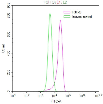 Overlay Peak curve showing MCF7 cells stained with CSB-RA008646MA1HU (red line) at 1:100. The cells were fixed in 4% formaldehyde and permeated by 0.2% TritonX-100. Then 10% normal goat serum to block non-specific protein-protein interactions followed by the antibody (1ug/1*10 6 cells) for 45min at 4℃. The secondary antibody used was FITC-conjugated Goat Anti-human IgG(H+L) at 1:200 dilution for 35min at 4℃.Control antibody (green line) was human IgG (1ug/1*10 6 cells) used under the same conditions.