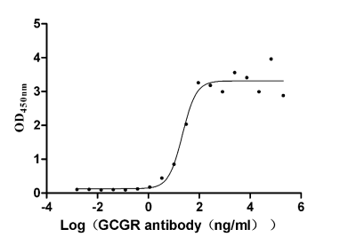 The Binding Activity of Human GCGR with Anti-GCGR recombinant antibody.
Activity: Measured by its binding ability in a functional ELISA. Immobilized Human GCGR (CSB-MP009316HU1) at 2 μg/mL can bind Anti-GCGR recombinant antibody, the EC<sub>50</sub> is 14.57-32.56 ng/mL.