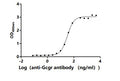 The Binding Activity of Rat Gcgr with Anti-Gcgr Recombinant AntibodyActivity: Measured by its binding ability in a functional ELISA. Immobilized Rat Gcgr (CSB-MP009316RA1) at 2 μg/mL can bind Anti-Gcgr recombinant antibody. The EC<sub>50</sub> is 29.63-35.34 ng/mL.