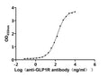 The Binding Activity of Mouse Glp1r with Anti-GLP1R Recombinant AntibodyActivity: Measured by its binding ability in a functional ELISA. Immobilized Mouse Glp1r (CSB-MP009514MO1) at 2 μg/mL can bind Anti-GLP1R recombinant antibody. The EC<sub>50</sub> is 141.7-172.4 ng/mL.