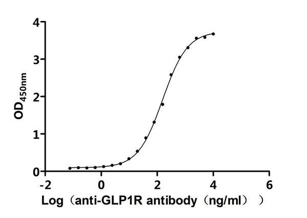 The Binding Activity of Mouse Glp1r with Anti-GLP1R Recombinant AntibodyActivity: Measured by its binding ability in a functional ELISA. Immobilized Mouse Glp1r (CSB-MP009514MO1) at 2 μg/mL can bind Anti-GLP1R recombinant antibody. The EC<sub>50</sub> is 141.7-172.4 ng/mL.