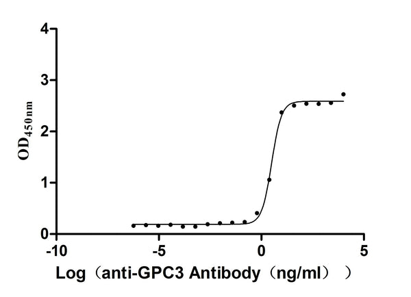 The Binding Activity of Human GPC3 with Anti-GPC3 recombinant AntibodyActivity: Measured by its binding ability in a functional ELISA. Immobilized Human GPC3 (CSB-MP009705HU(M) ) at 2 μg/mL can bind Anti- GPC3 recombinant Antibody, the EC<sub>50</sub> is 2.783-3.653 ng/mL.