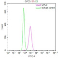 Overlay Peak curve showing THP-1 cells surface stained with CSB-RA009705MA1HU (red line) at 1:100. Then 10% normal goat serum was Incubated to block non-specific protein-protein interactions followed by the antibody (1µg/1*10 6 cells) for 45 min at 4°C. The secondary antibody used was FITC-conjugated Goat Anti-Mouse IgG(H+L) at 1/200 dilution for 35 min at 4°C. Isotype control antibody (green line) was mouse IgG1 (1µg/1*10 6 cells) used under the same conditions.