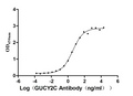The Binding Activity of Huamn GUCY2C with Anti-GUCY2C recombinant Antibody.
Activity: Measured by its binding ability in a functional ELISA. Immobilized human GUCY2C (CSB-MP010053HUd9) at 5 μg/mL can bind Anti-GUCY2C recombinant antibody, the EC<sub>50</sub> is 3.049-4.660 ng/mL.