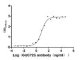 The Binding Activity of Human GUCY2C with Anti-GUCY2C recombinant antibody
Activity: Measured by its binding ability in a functional ELISA. Immobilized Human GUCY2C (CSB-MP010053HU) at 5 μg/mL can bind Anti-GUCY2C recombinant antibody, the EC<sub>50</sub> is 5.630-9.996 ng/mL.