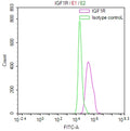 Overlay Peak curve showing Hela cells surface stained with CSB-RA011087MA1HU (red line) at 1:50. Then 10% normal goat serum was Incubated to block non-specific protein-protein interactions followed by the antibody (1µg/1*10 6 cells) for 45 min at 4°C. The secondary antibody used was FITC-conjugated Goat Anti-Mouse IgG(H+L) at 1/200 dilution for 35 min at 4°C. Isotype control antibody (green line) was mouse IgG1 (1µg/1*10 6 cells) used under the same conditions. Acquisition of >10, 008 events was performed.