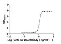 The Binding Activity of Human IGF1R with Anti-IGF1R Recombinant AntibodyActivity: Measured by its binding ability in a functional ELISA. Immobilized Human IGF1R (CSB-MP011087HU1) at 2 μg/mL can bind Anti-IGF1R recombinant antibody. The EC<sub>50</sub> is 1.479-1.702 ng/mL.